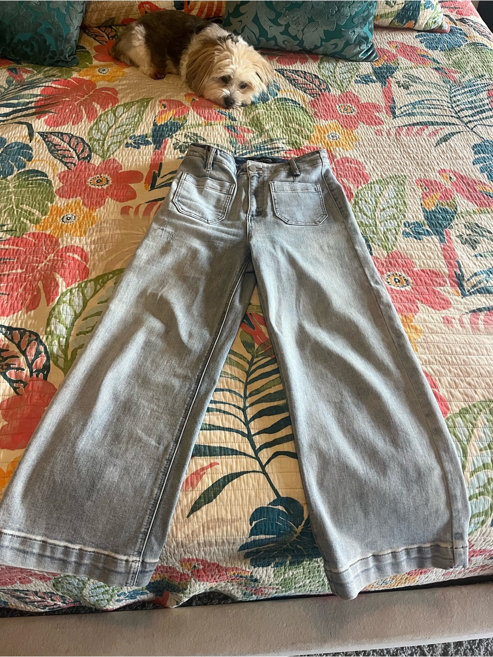 Risen Amelia Patch Pocket Cropped Jeans